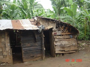 DSC06523